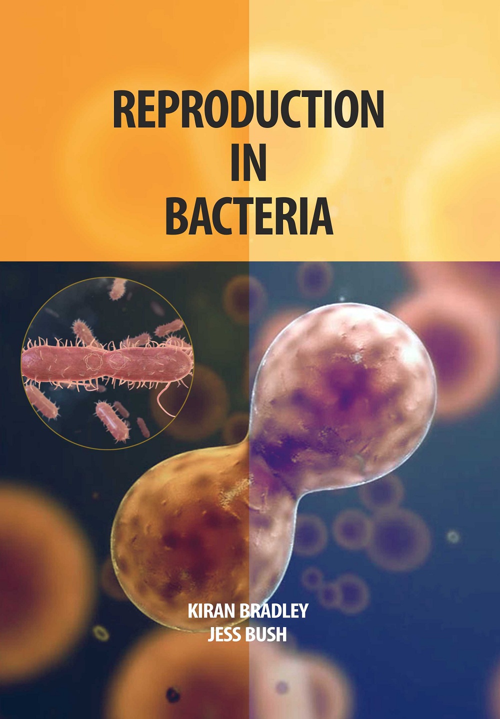Reproduction in Bacteria